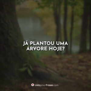 Já plantou uma árvore hoje?