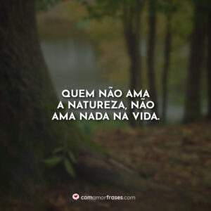 Quem não ama a natureza, não ama nada na vida.