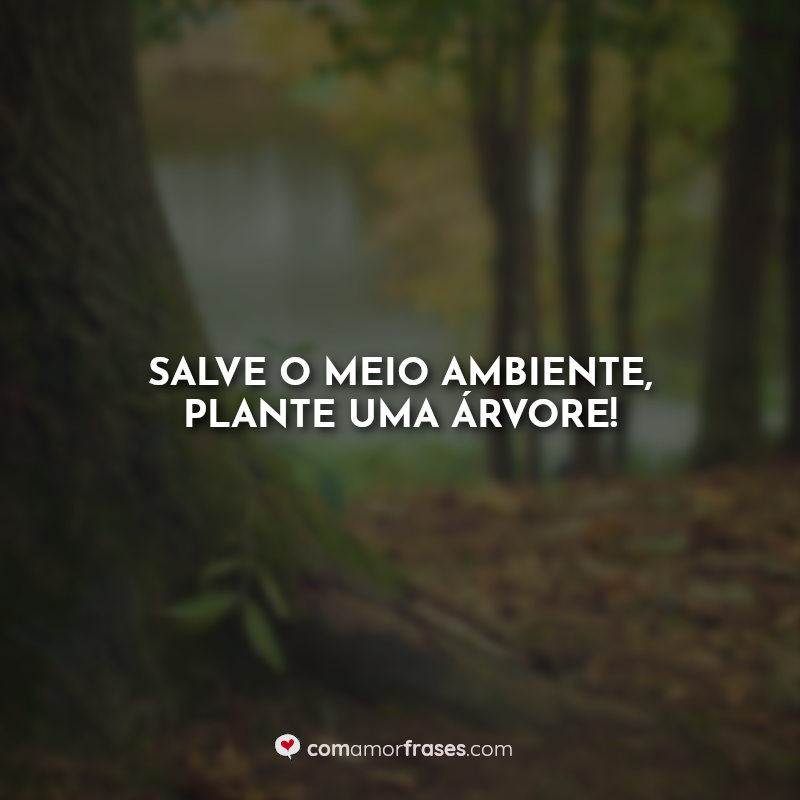 Dia da arvore frases: Salve o meio ambiente, plante uma árvore!