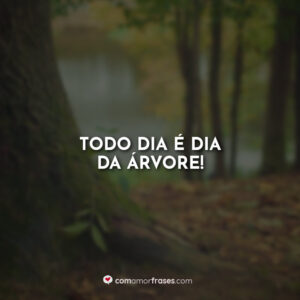 Todo dia é dia da árvore!
