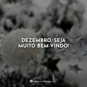 Dezembro, seja muito bem-vindo!