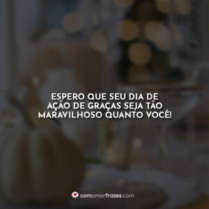 Espero que seu Dia de Ação de Graças seja tão maravilhoso quanto você!