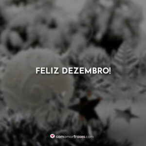 Feliz dezembro!