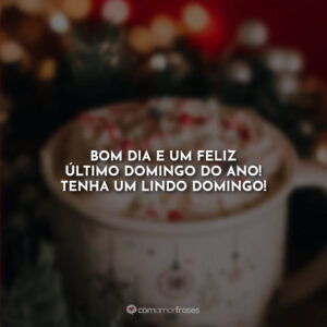 Bom dia e um feliz último domingo do ano! Tenha um lindo domingo!
