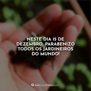 Neste dia 15 de Dezembro, parabenizo todos os jardineiros do mundo!