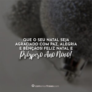 Que o seu Natal seja agraciado com paz, alegria e bênçãos! Feliz Natal e Próspero Ano Novo!