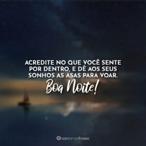 Acredite no que você sente por dentro, e dê aos seus sonhos as asas para voar. Boa Noite!