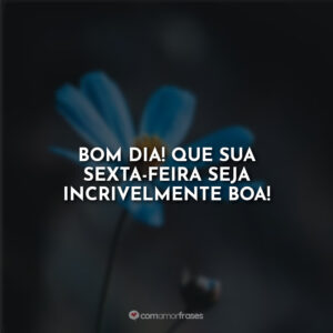 Bom Dia! Que sua sexta-feira seja incrivelmente boa!