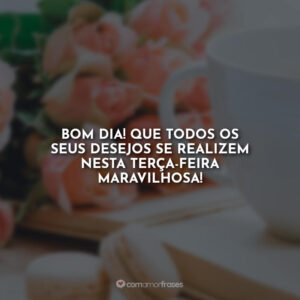 Bom Dia! Que todos os seus desejos se realizem nesta terça-feira maravilhosa!