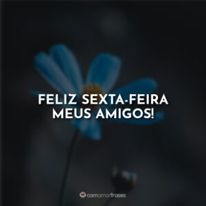 Feliz sexta-feira meus amigos!