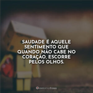 Saudade é aquele sentimento que quando não cabe no coração, escorre pelos olhos.