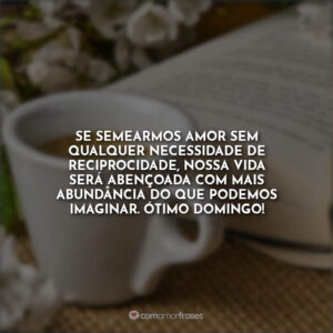 Se semearmos amor sem qualquer necessidade de reciprocidade, nossa vida será abençoada com mais abundância do que podemos imaginar. Ótimo domingo!