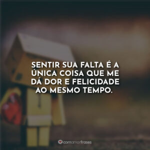 Sentir sua falta é a única coisa que me dá dor e felicidade ao mesmo tempo.