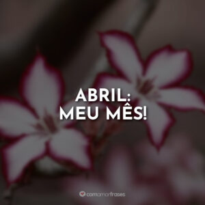 Abril: Meu mês!