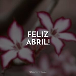 Feliz abril!