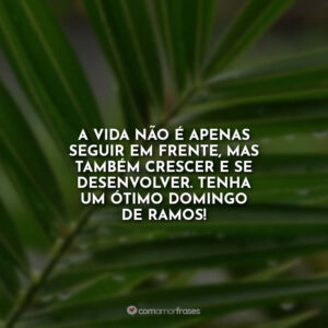 A vida não é apenas seguir em frente, mas também crescer e se desenvolver. Tenha um ótimo Domingo de Ramos!