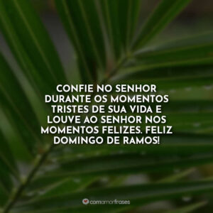 Confie no Senhor durante os momentos tristes de sua vida e louve ao Senhor nos momentos felizes. Feliz domingo de Ramos!