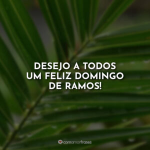 Desejo a todos um feliz Domingo de Ramos!