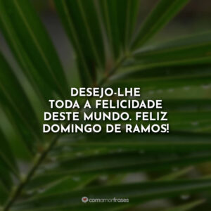 Desejo-lhe toda a felicidade deste mundo. Feliz Domingo de Ramos!
