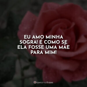 Eu amo minha sogra! É como se ela fosse uma mãe para mim!