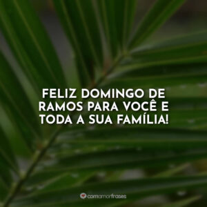Feliz Domingo de Ramos para você e toda a sua família!