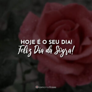 Hoje é o seu dia! Feliz Dia da Sogra!