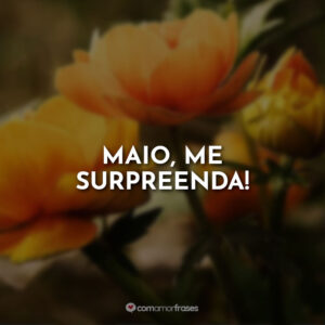 Maio, me surpreenda!