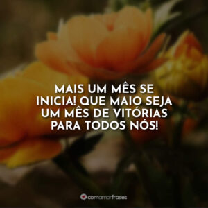Mais um mês se inicia! Que maio seja um mês de vitórias para todos nós!
