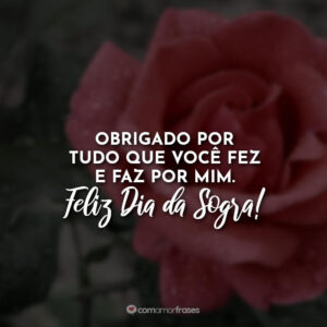 Obrigado por tudo que você fez e faz por mim. Feliz Dia da Sogra!
