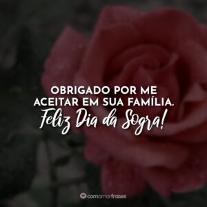 Obrigado por me aceitar em sua família. Feliz Dia da Sogra!