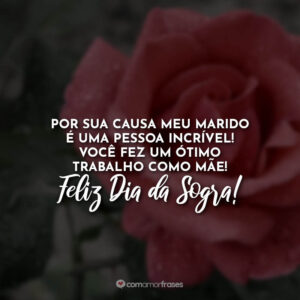 Por sua causa meu marido é uma pessoa incrível! Você fez um ótimo trabalho como mãe! Feliz Dia da Sogra!
