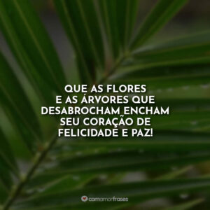 Que as flores e as árvores que desabrocham encham seu coração de felicidade e paz!