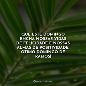 Que este domingo encha nossas vidas de felicidade e nossas almas de positividade. Ótimo Domingo de Ramos!