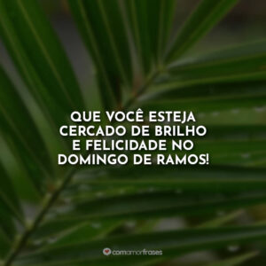 Que você esteja cercado de brilho e felicidade no Domingo de Ramos!