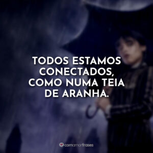 Todos estamos conectados, como numa teia de aranha.