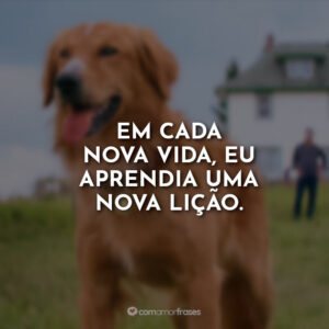 Em cada nova vida, eu aprendia uma nova lição.