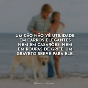 Um cão não vê utilidade em carros elegantes nem em casarões, nem em roupas de grife. Um graveto serve para ele.