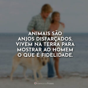 Animais são anjos disfarçados, vivem na Terra para mostrar ao homem o que é fidelidade.