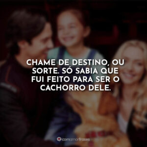 Chame de destino, ou sorte. Só sabia que fui feito para ser o cachorro dele.