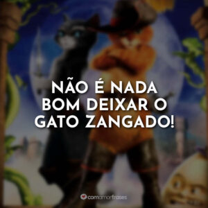 Não é nada bom deixar o gato zangado!