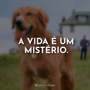 A vida é um mistério.