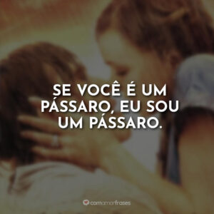 Se você é um pássaro, eu sou um pássaro.