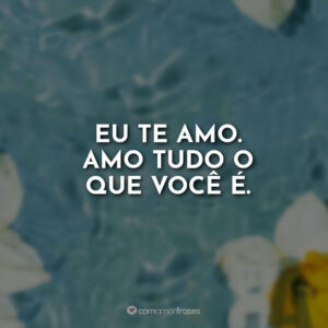Eu te amo. Amo tudo o que você é.