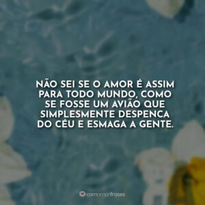 Não sei se o amor é assim para todo mundo, como se fosse um avião que simplesmente despenca do céu e esmaga a gente.