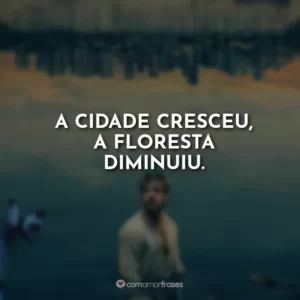 A cidade cresceu, a floresta diminuiu.