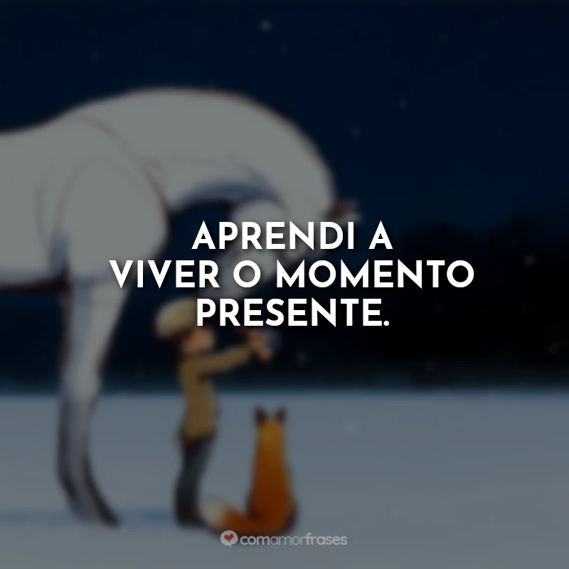 Frases O Menino, a Toupeira, a Raposa e o Cavalo Filme: Aprendi a viver o momento presente.