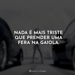 Nada é mais triste que prender uma fera na gaiola.