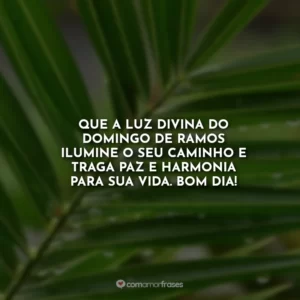 Que a luz divina do Domingo de Ramos ilumine o seu caminho e traga paz e harmonia para sua vida. Bom dia!