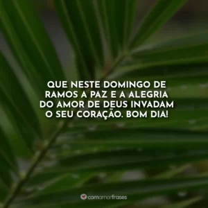 Que neste Domingo de Ramos a paz e a alegria do amor de Deus invadam o seu coração. Bom dia!