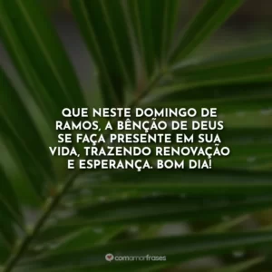 Que neste Domingo de Ramos, a bênção de Deus se faça presente em sua vida, trazendo renovação e esperança. Bom dia!